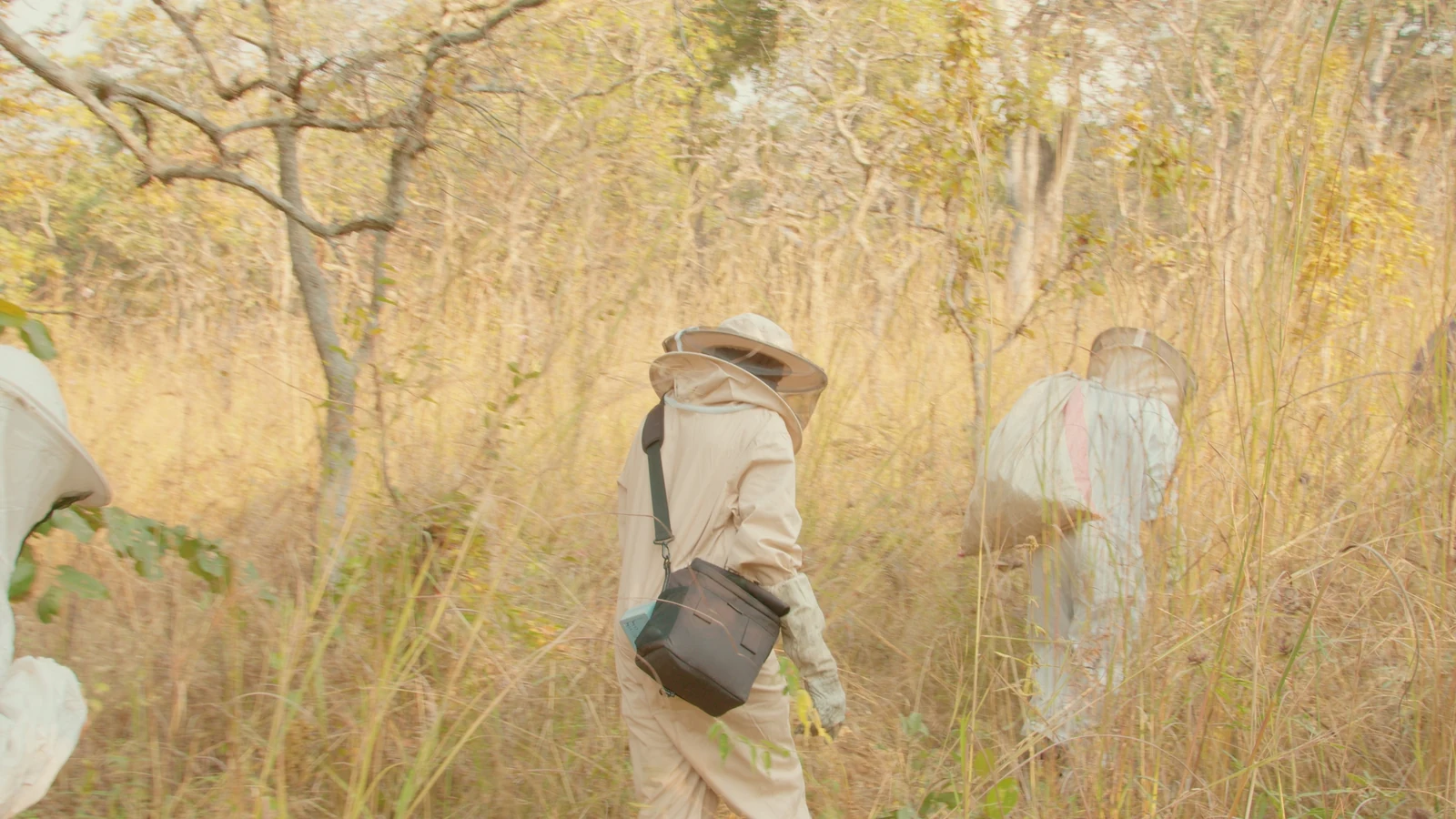 Beekeepers walking through the forest during a field visit