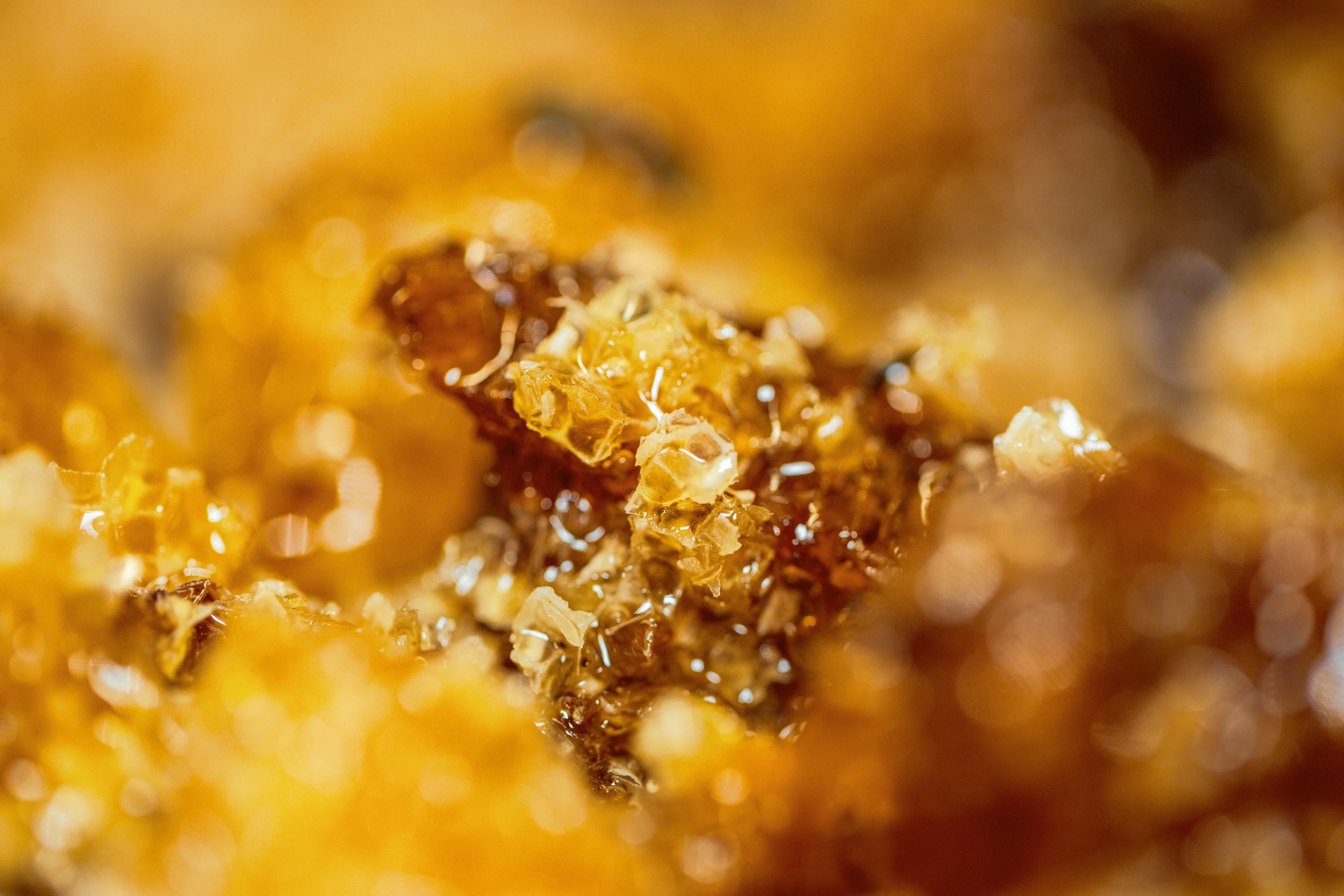Close-up of honeycomb