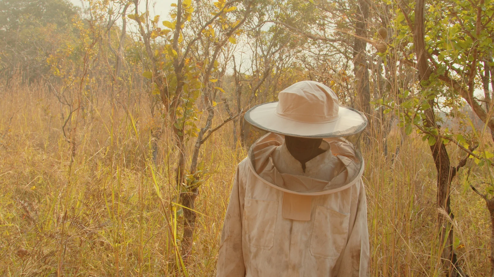 A beekeeper in a protective suit standing in tall grass